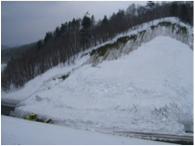 雪氷災害の解説記事