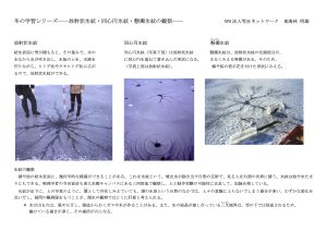 冬の学習シリーズ02：放射状氷紋・同心円氷紋・懸濁氷紋の観察